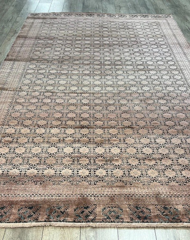 PU54C TERRA Elexus Diamond